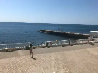 Сосновый - 82