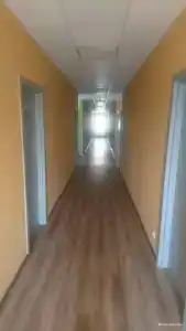 Две Совы - 20