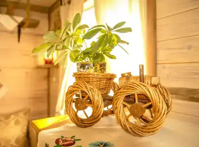 Беловежское Поместье - 75