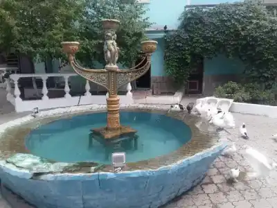 Золотой пруд - 1