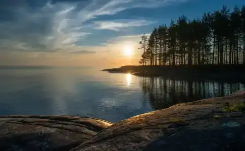 Челмужская усадьба - 17