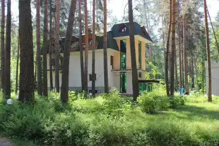 Каприз - 14