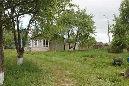 НовГУ - 25