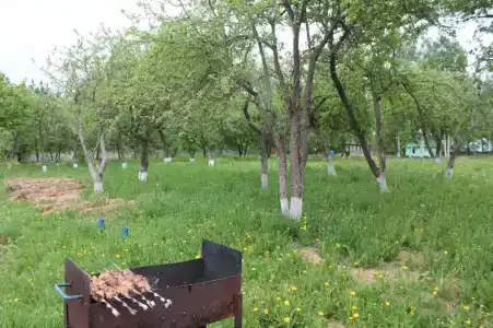 НовГУ - 2