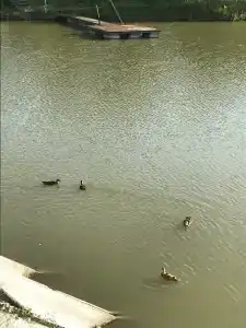 Лукоморье - 29