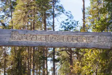 Карельские пороги - 38