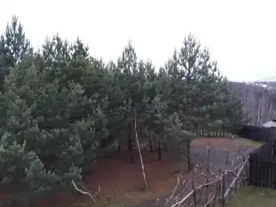 Избушка на опушке - 9