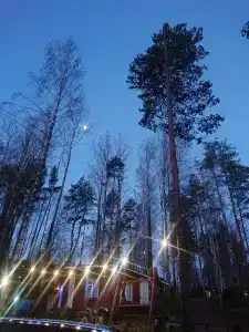 SMART на Горе - 48