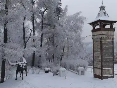 Усолье - 46
