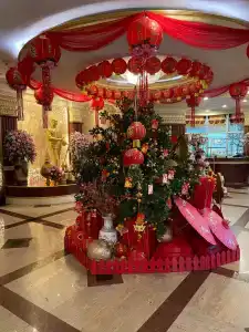 Prince Palace - Sha Extra Plus - 41