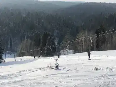 Снегири - 36