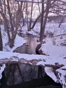 Ягодная Поляна - 42