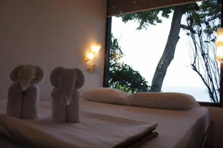 Top Resort - 43