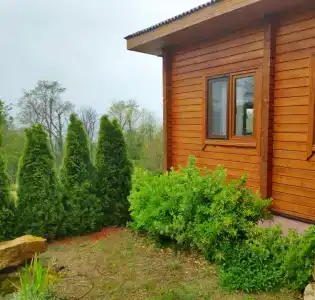 у Светланы - 18