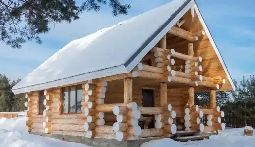 Челмужская усадьба - 23