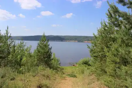 Каприз - 15