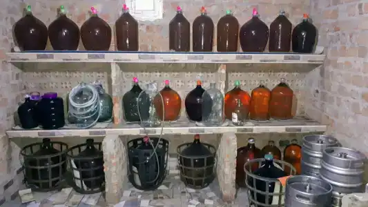 Зеленый цветок - 42