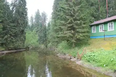 Шуя Новгу - 0