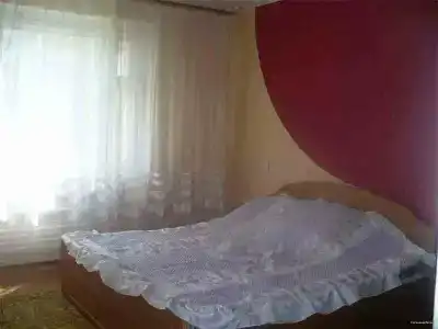 Леся - 61
