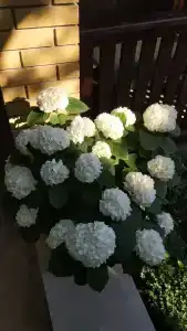 Симеиз-тур - 58