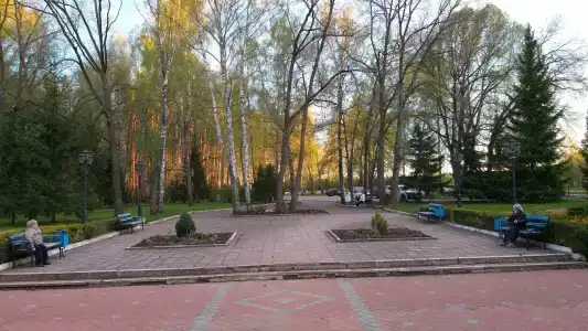 Дубрава - 32