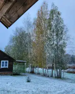 Подворье - 69
