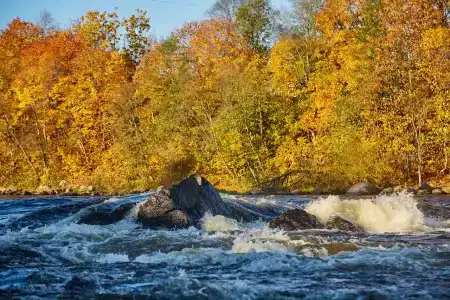 Угребись - 19