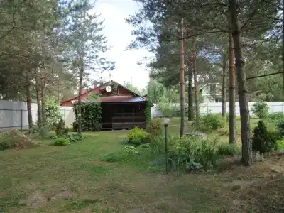 Дом под соснами - 2
