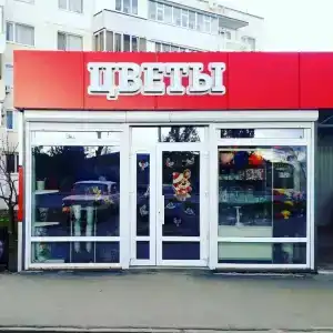 у Алины - 10