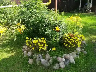 Лесник - 36