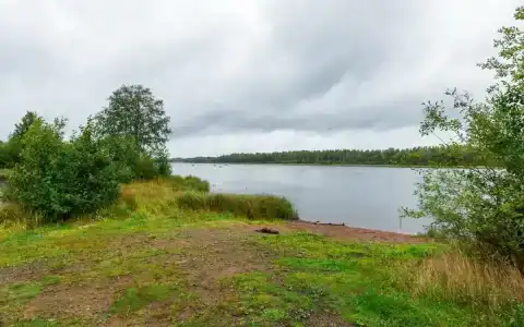 Подворье - 61
