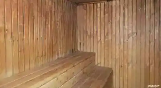 Фаворит - 6