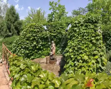 Фламинго - 13