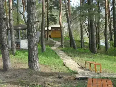 Сокол - 1