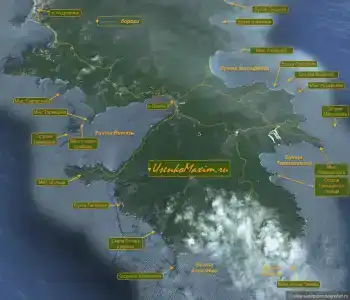 Ромашка-Витязь - 14
