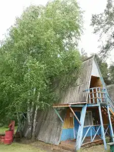 Ивушка - 6