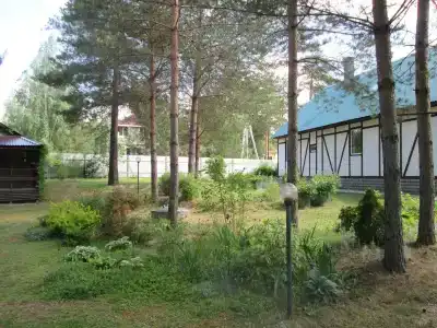 Дом под соснами - 5