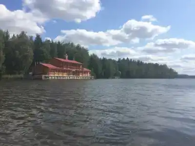 Хвойный бор - 8