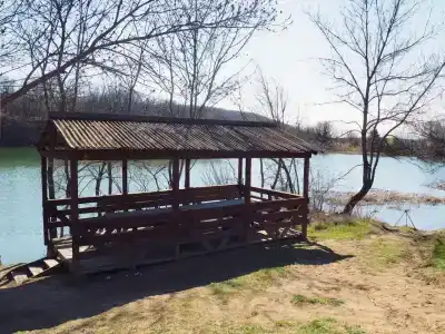 Родное - 44