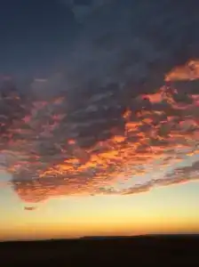 Фридом Веселовка - 22