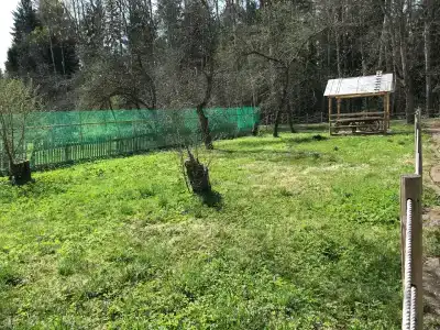 35квартал - 5
