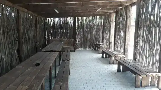 Родники - 1