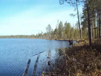 Куйтто - 29