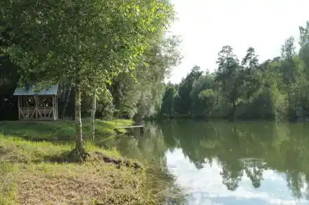 Полушкино - 36