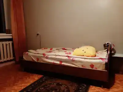 Факел - 1