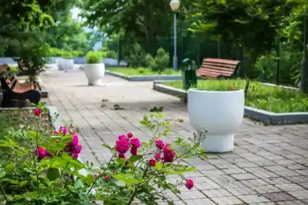 Шепси - 37