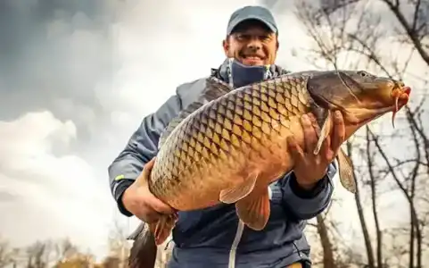 River Tour - 19