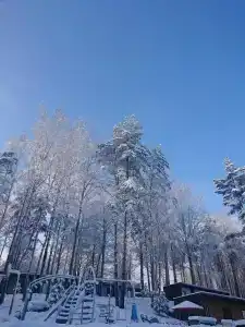 SMART на Горе - 44