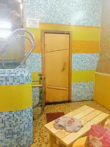 Дельфин - 23