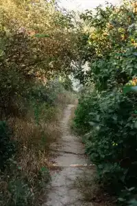 Кемпинг Порфмий - 4